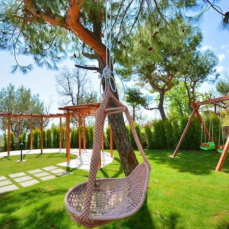 Korunakli Avangard *